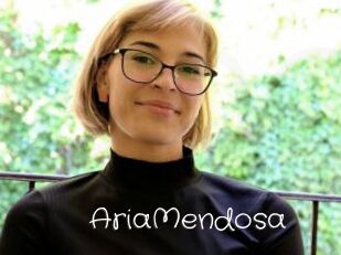 AriaMendosa