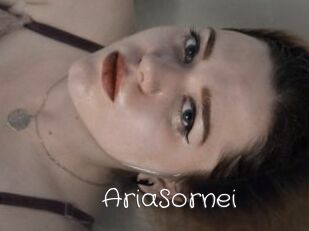AriaSornei