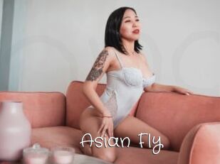 Asian_Fly