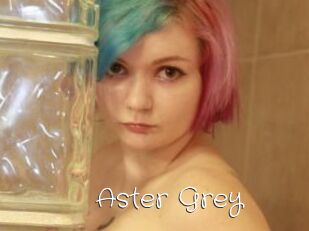 Aster_Grey