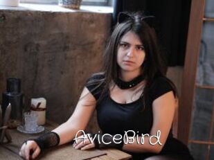 AviceBird