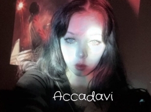 Accadavi