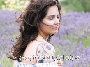 Aerinbaudelaire