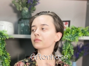 Aftonhase