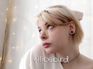 Alicebird