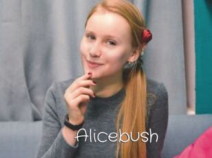 Alicebush