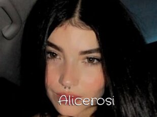 Alicerosi