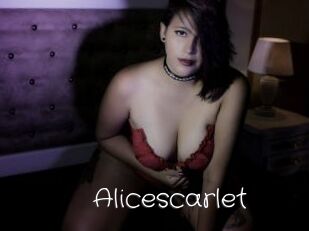 Alicescarlet