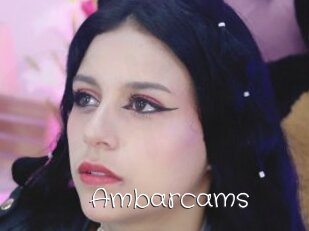 Ambarcams