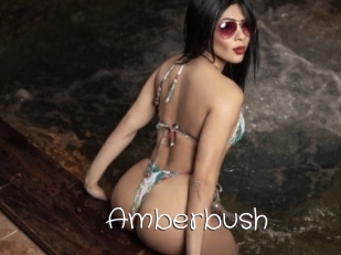 Amberbush