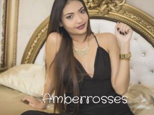 Amberrosses