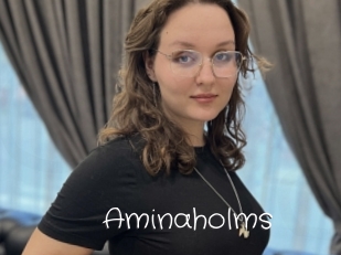 Aminaholms