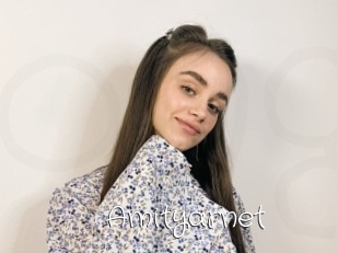 Amityarnet