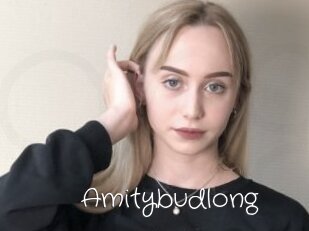 Amitybudlong