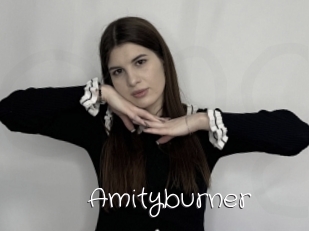 Amityburner
