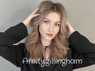 Amitygillingham