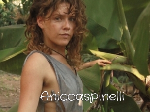 Aniccaspinelli