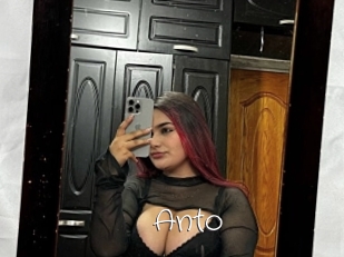 Anto