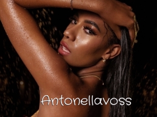 Antonellavoss