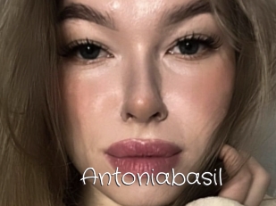 Antoniabasil