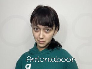 Antoniaboor