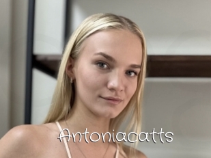 Antoniacatts
