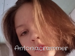 Antoniacrammer
