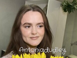 Antoniadudley