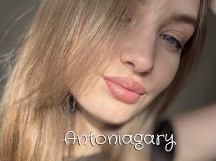Antoniagary