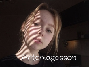 Antoniagosson