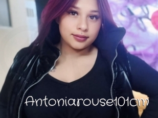 Antoniarouse101cm