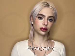 Aracaris