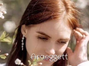 Araeggett