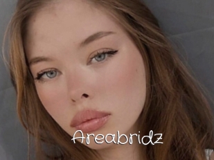 Areabridz