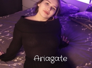 Ariagate