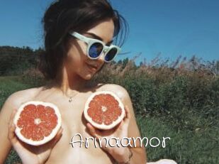Arinaamor