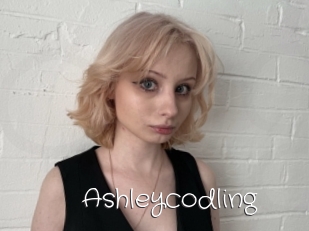 Ashleycodling