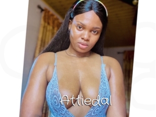 Attiedal