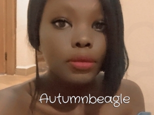 Autumnbeagle
