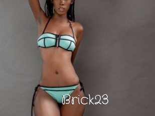 Brick23