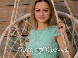 BurningOfLovee