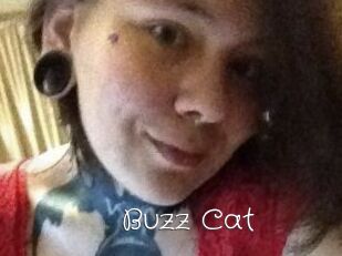 Buzz_Cat