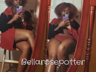 Bellarosepotter