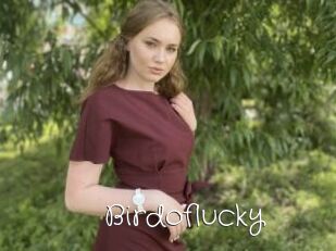Birdoflucky