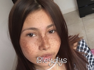 Bleydys