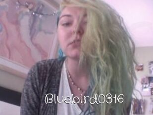 Bluebird0316