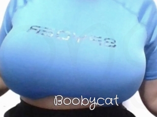 Boobycat