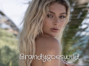 Brandygoeswild