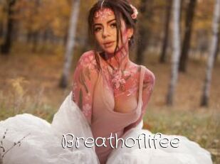 Breathoflifee