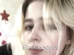 Breeboggus